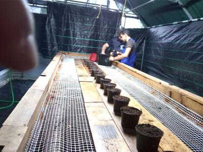 Ομάδα εκτροφής σαλιγκαριών - Προετοιμασία θαλάμου αναπαραγωγής