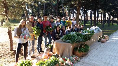 Project Επιχειρηματικότητας Φυτικής Παραγωγής - Παραγωγή και Εμπορία Λαχανικών
