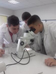 Βιωματικά εργαστήρια φυσικών επιστημών - Πειράματα με φυσικά υλικά
