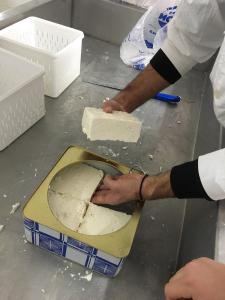 Εργαστήριο Τεχνολογίας Τροφίμων - Παρασκευή τυριού