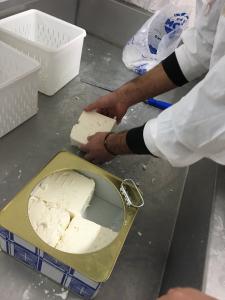 Εργαστήριο Τεχνολογίας Τροφίμων - Παρασκευή τυριού