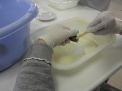 Ομάδα εκτροφής και μεταποίησης σαλιγκαριών – Παρασκευή κρεμοτζέλ χεριών από βλένα σαλιγκαριού.