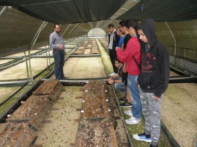 Ομάδα εκτροφής και μεταποίησης σαλιγκαριών – εξετάσεις για την πιστοποίηση  τεχνίτη σαλιγκαροτροφίας