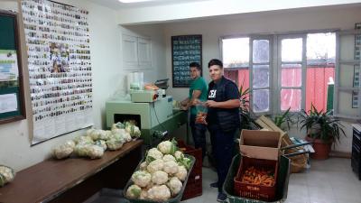 Προετοιμασία και πώληση λαχανικών στο πανηγύρι της Σχολής