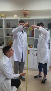 Βιωματικά Εργαστήρια Φυσικών Επιστημών - Μπάλα και Φυσική