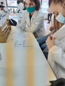 Βιωματικά Εργαστήρια Φυσικών Επιστημών – Διαδικασία ταυτοποίησης ομάδων αίματος