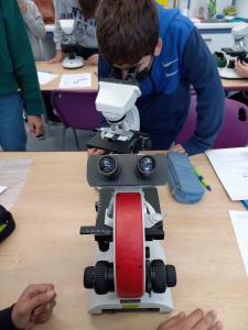 Βιολογία - Παρατήρηση με μικροσκόπιο