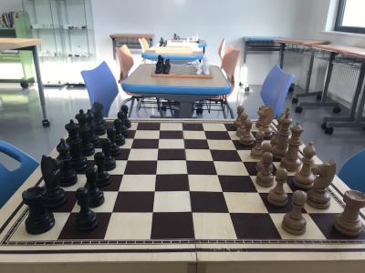 1ο Εσωτερικό Πρωτάθλημα Σκάκι Γυμνασίου Α.Γ.Σ