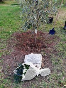 Treeplanting in memory of Charlotte P. Armstrong
