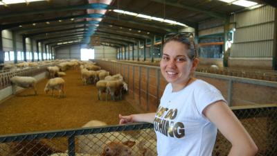 Sheep Farm Consulting (pilot action)