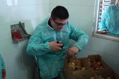Εργαστήριο Ζωϊκής Παραγωγής - Εκκόλαψη αυγών