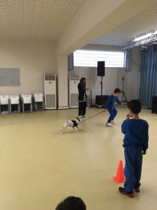 Εκπαιδευτικό Πρόγραμμα Dogs in Learning