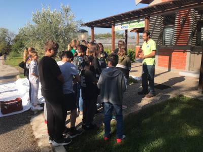 Συγκομιδή ελιάς στο πλαίσιο του Enviro-Science για τους μαθητές του Γυμνασίου Χασιώτη