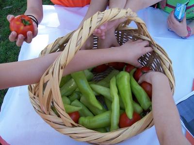 Σε εξέλιξη το πρόγραμμα Little Green Farmers για τη σωστή διατροφή των παιδιών