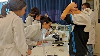 Διακρίσεις στο διαγωνισμό πειραμάτων φυσικών επιστημών EOES 2024